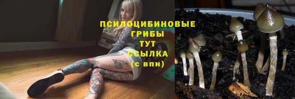 тгк Нефтегорск