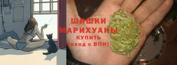 прущий лед Нея