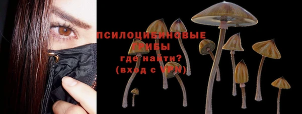 прущий лед Нея