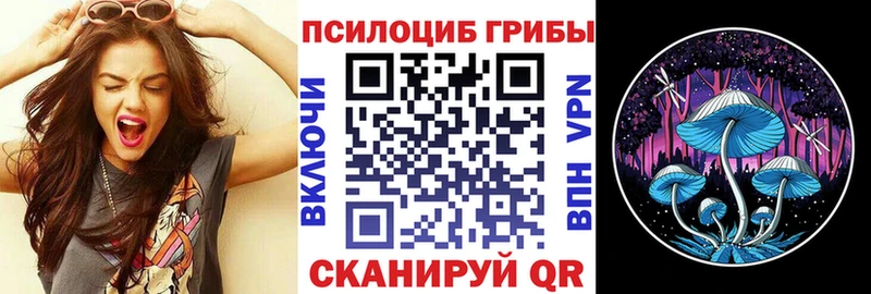Галлюциногенные грибы прущие грибы  Купить где  Пыть-Ях 